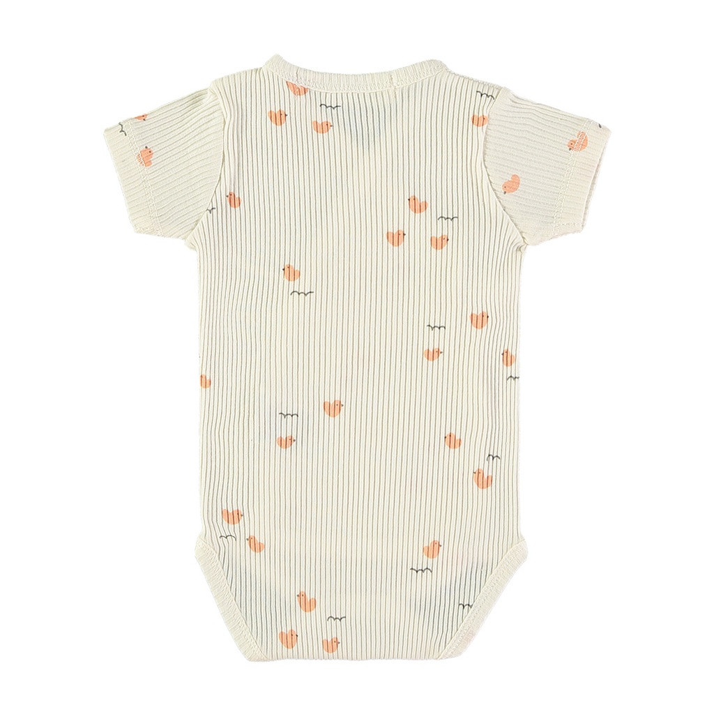 Body manga corta - LOVELY DUCKS APRICOT