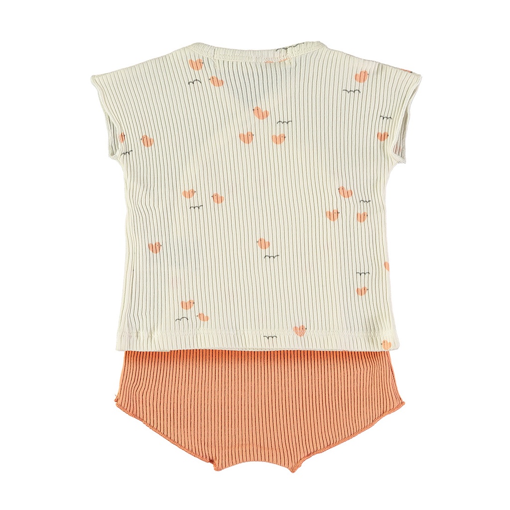 Top + culotte - LOVELY DUCKS APRICOT
