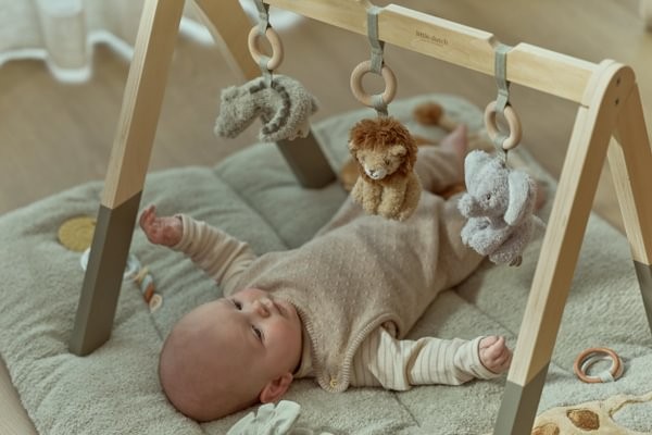 BABY GYM CON JUGUETES SAFARI FRIENDS