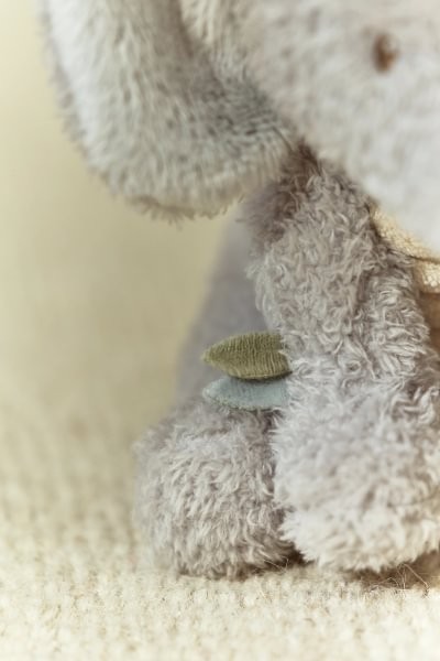 ELEFANTE PELUCHE SAFARI FRIENDS