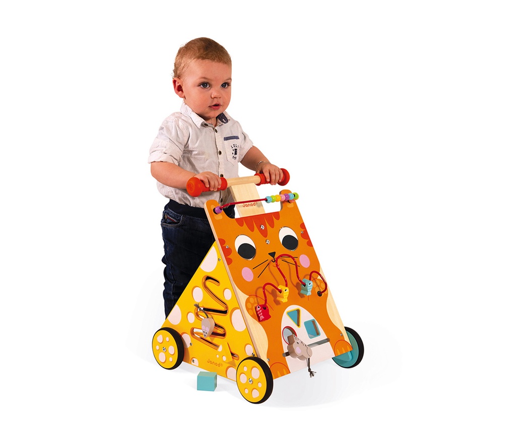 CAMINADOR MULTIACTIVIDADES EL GATO