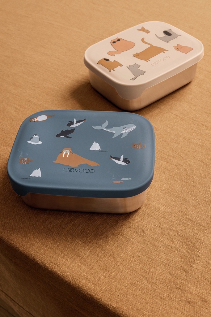 Caja de Almuerzo Arthur Arctic Sea