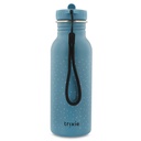 Botella Mr. Triceratops Trixie 500ml