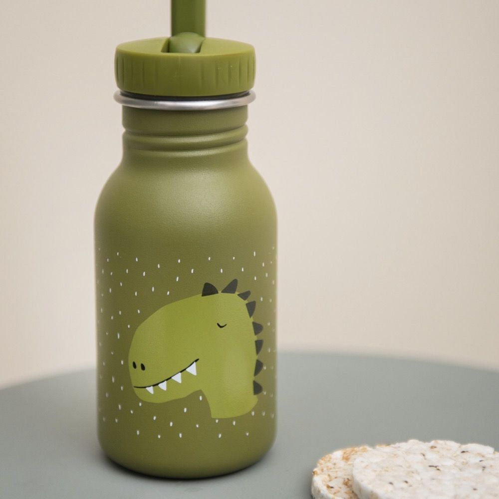 Botella Dino Trixie 350ml