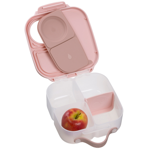 Mini Lunchbox - Blush Crush