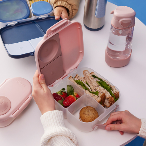 Mini Lunchbox - Blush Crush