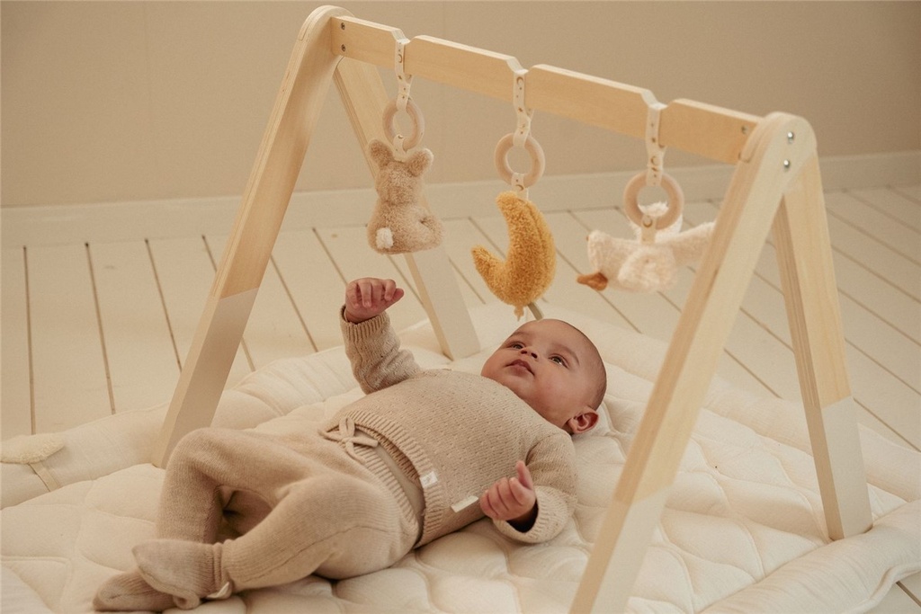 Baby gym con juguetes Newborn Naturals