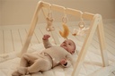 Baby gym con juguetes Newborn Naturals