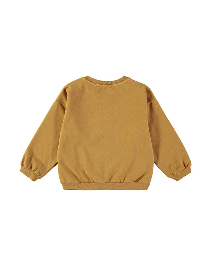 Sudadera Curious