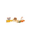 GRANJA - ANIMALES DE COMPAÑIA MAGNETICOS