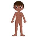 PUZLE EDUCATIVO CUERPO HUMANO 50,75,100 PZ