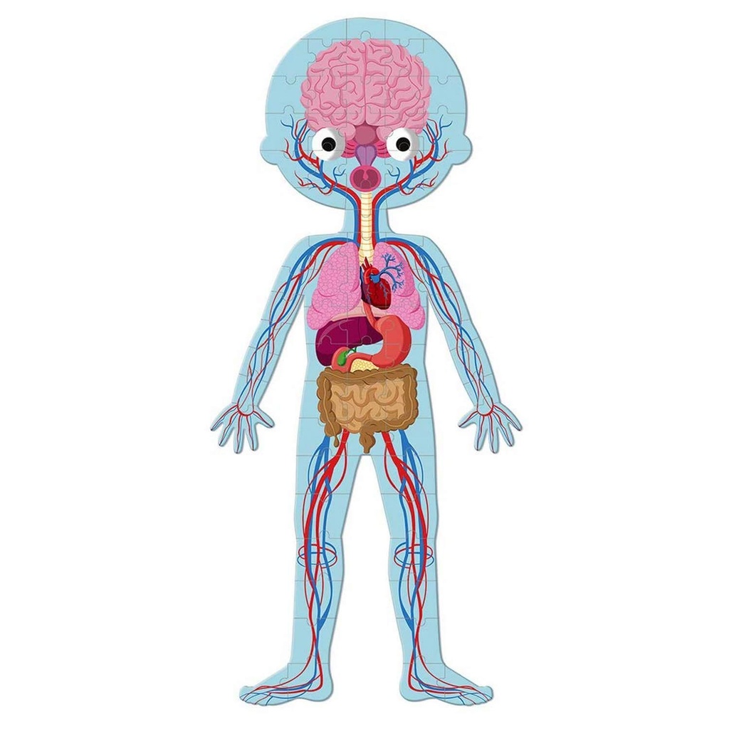 PUZLE EDUCATIVO CUERPO HUMANO 50,75,100 PZ