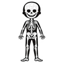 PUZLE EDUCATIVO CUERPO HUMANO 50,75,100 PZ