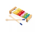 GIOIA - SET DE INSTRUMENTOS MUSICALES