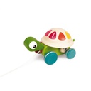 TORTUGA PARA PASEAR  ZIGOLOS