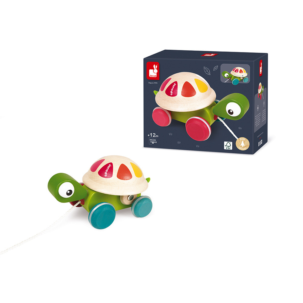 TORTUGA PARA PASEAR  ZIGOLOS