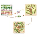 Collage La ronda de las estaciones