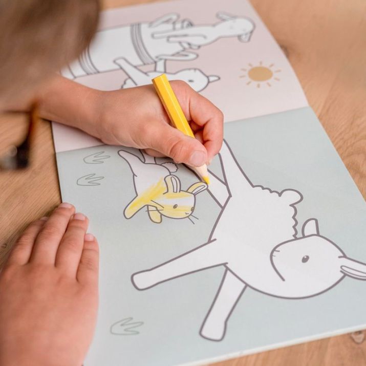 LIBRO PARA COLOREAR PEQUEÑA GRANJA