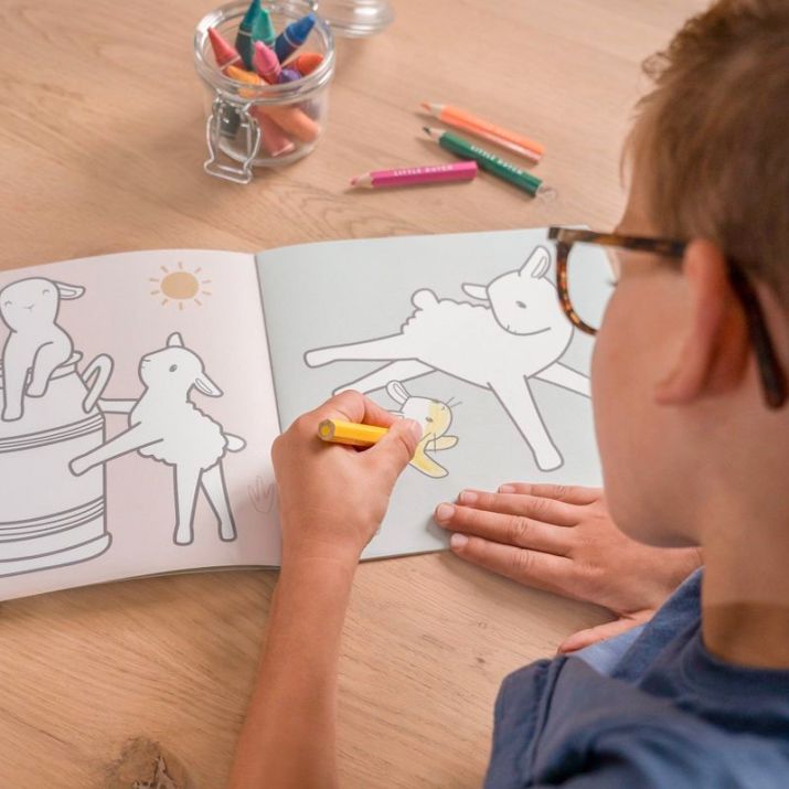 LIBRO PARA COLOREAR PEQUEÑA GRANJA