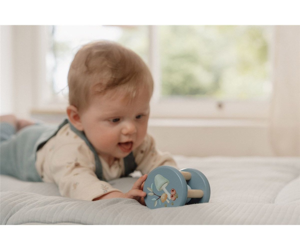 SONAJERO EMPUJABLE FSC FOREST FRIENDS