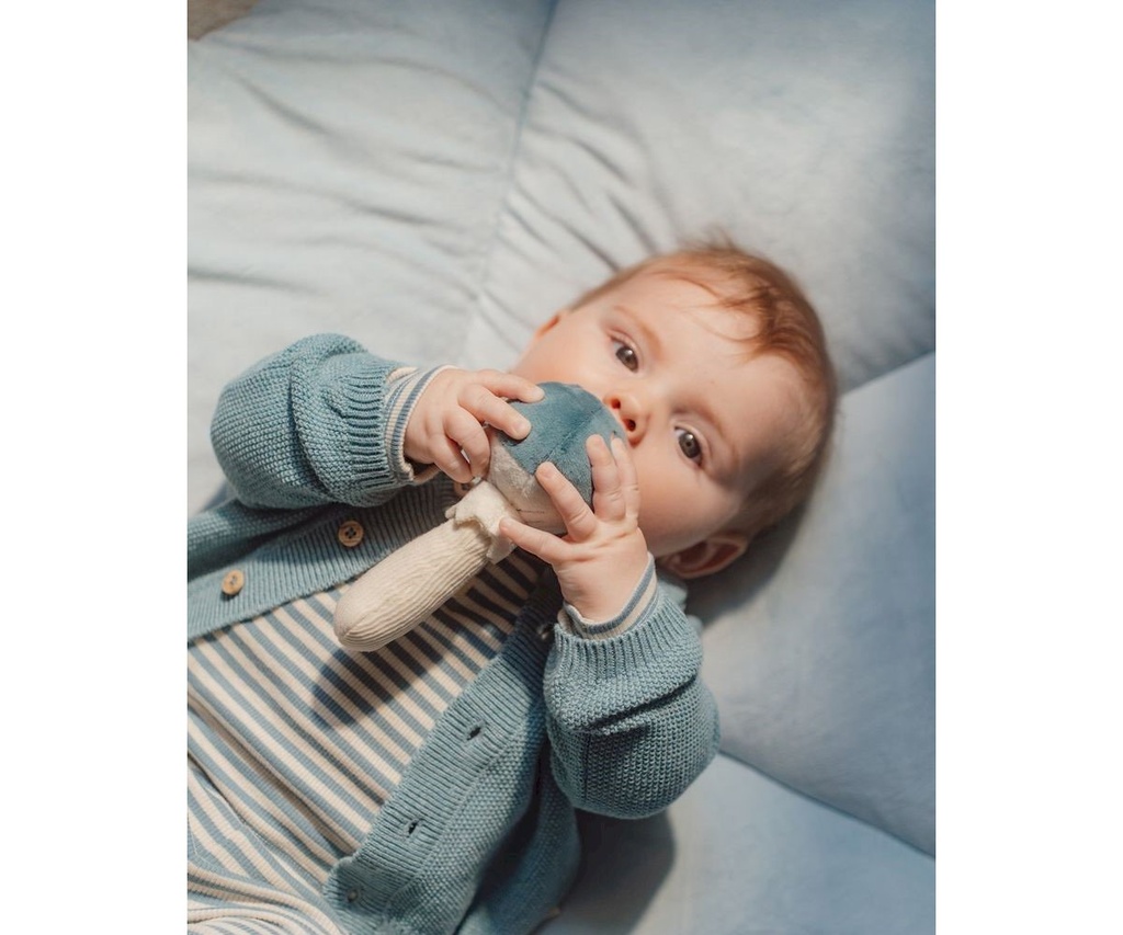 SONAJERO SETA FOREST FRIENDS LITTLE DUTCH