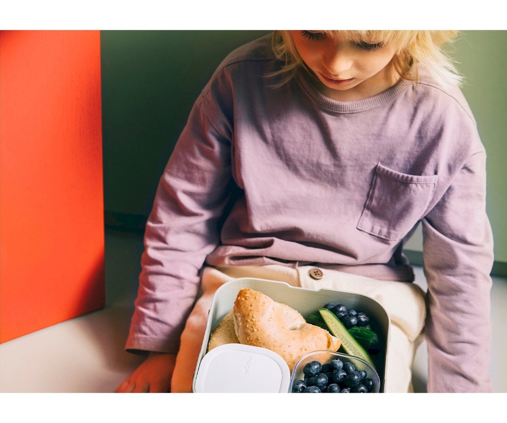 CAJA BENTO CAMPUS GRANDE FAIRY GARDEN