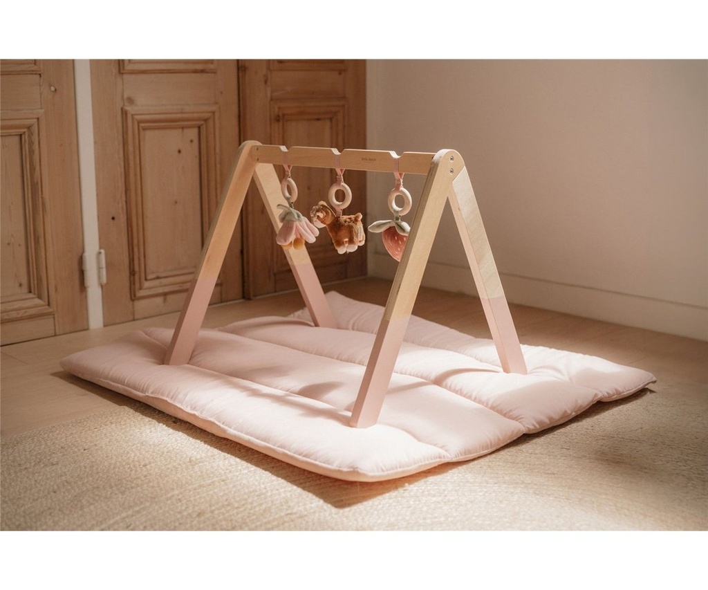 BABY GYM CON JUGUETES FAIRY GARDEN