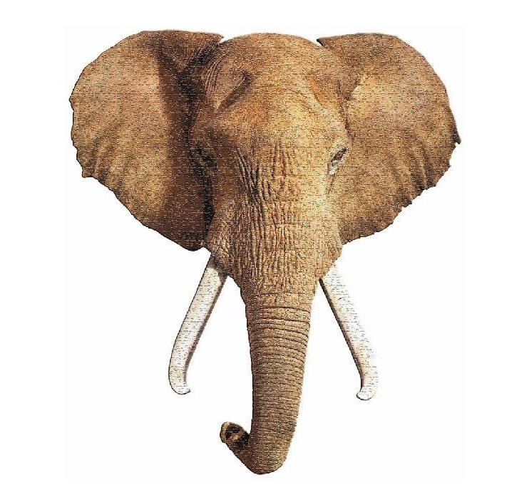 Puzzle Elefante