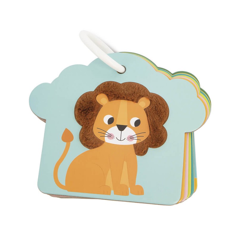 CARTAS TÁCTILES SABANA