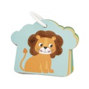 Cartas táctiles Sabana