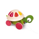 TORTUGA PARA PASEAR  ZIGOLOS