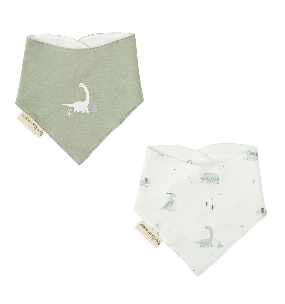 PACK 2 BANDANAS(43X21)  TREX VERDE