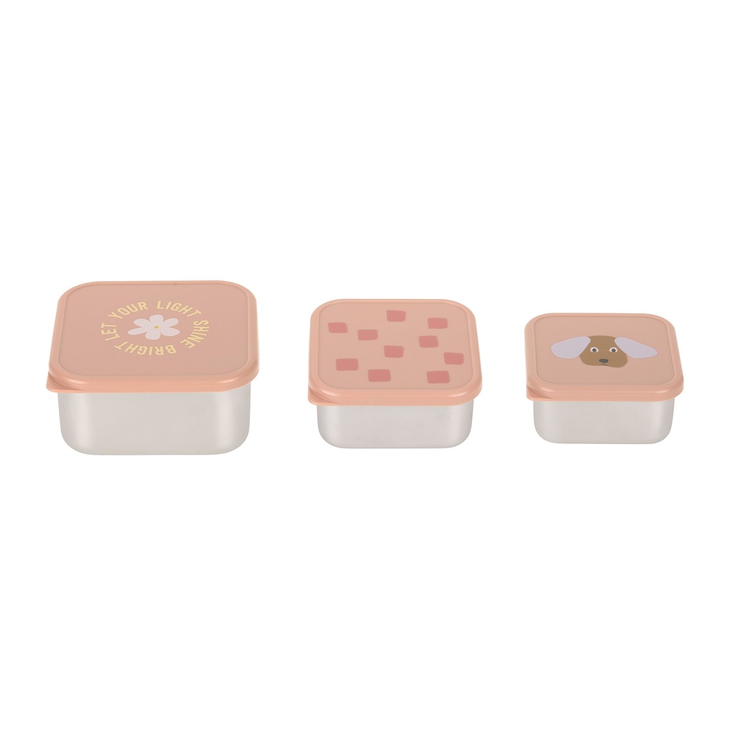 3 Cajitas Almuerzo Acero Pattern Party Rose
