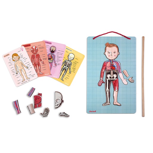 [JURA-J05491] Bodymagnet en 12 idiomas