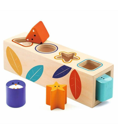 [TTDJ-36202] Primera Edad BoitaBasic FSC mixto