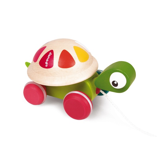 [JURA-J08236] TORTUGA PARA PASEAR  ZIGOLOS